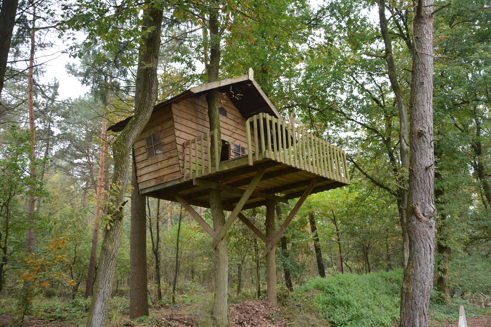 Case sull'albero Italia guida a 19 tree-house imperdibili