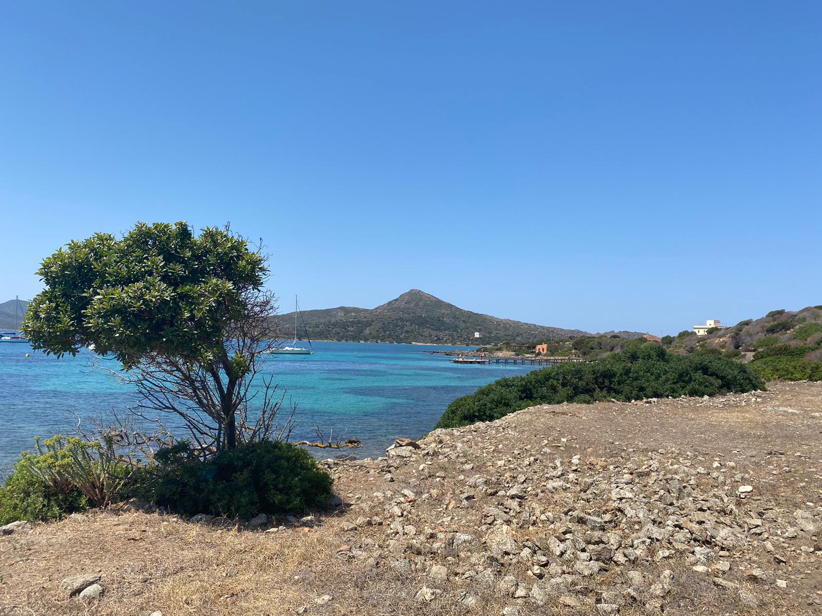 Veduta da Cala Reale all'Asinara