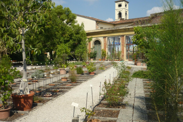 Cosa vedere a Lucca in 10 tappe