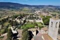 Cosa vedere a San Gimignano, visita in 1 giorno