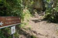 Le Vie Cave etrusche e le Città del Tufo di Sorano, Sovana e Pitigliano