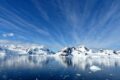 Cosa c'è davvero in Antartide? Perchè organizzare un viaggio