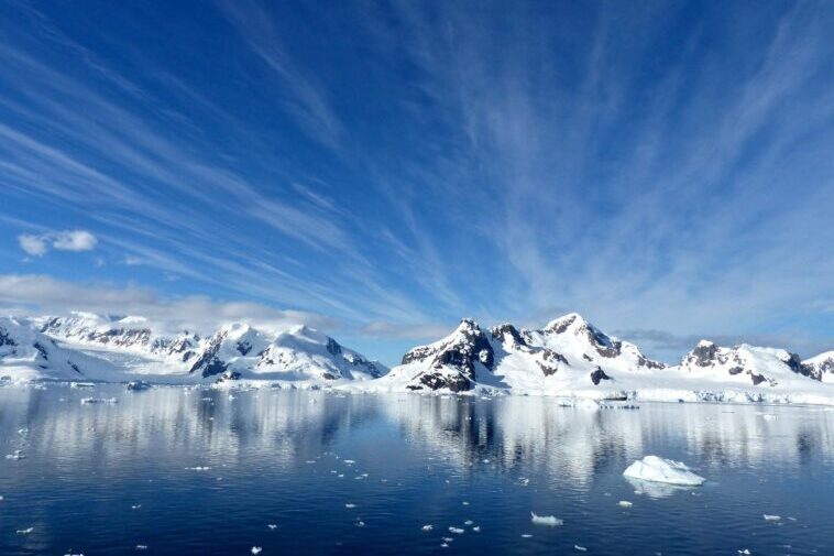 Cosa c’è davvero in Antartide? Perchè organizzare un viaggio