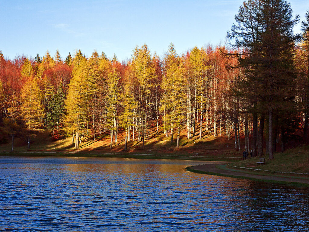 Foliage in Emilia Romagna, il lago della Ninfa