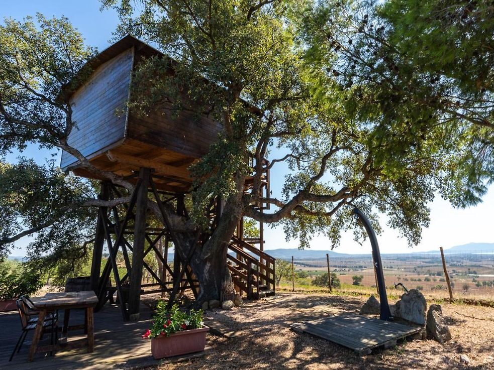 Bellavista Tuscany Treehouse foto di Hoelmix