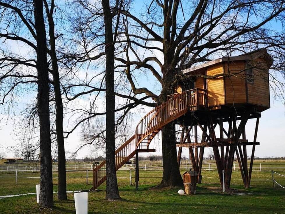 Relais Tenuta il Cigno, tra le case sull'albero Italia più belle foto del sito