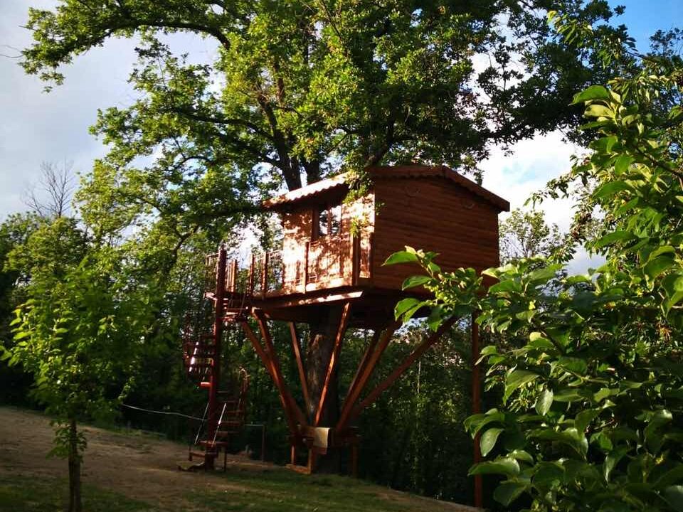 Tenuta Bocchineri tra le più belle case sull'albero d'Italia foto del sito