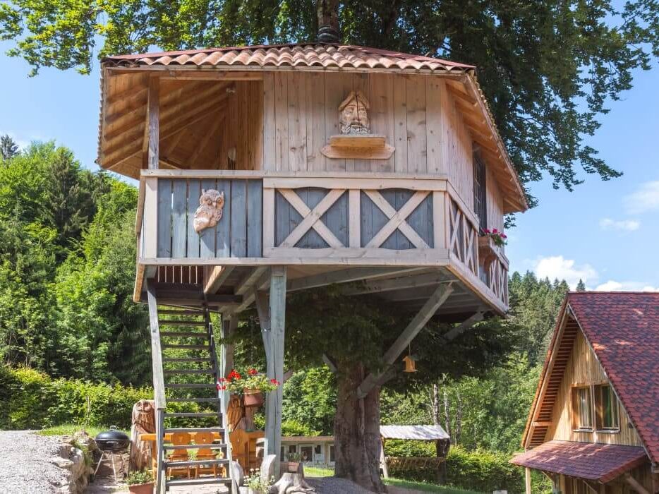 Dolomiti Village tra le case sull'albero Italia più belle foto by tripadvisor 