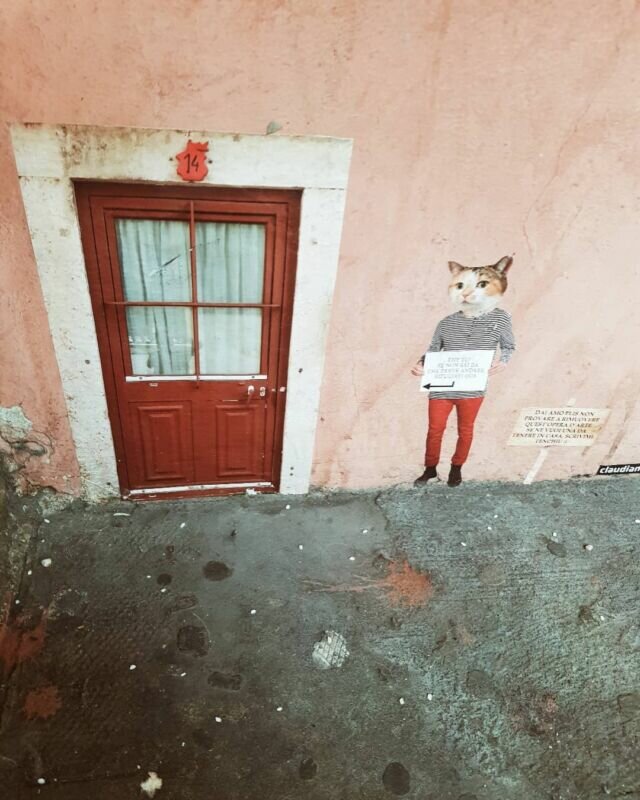 L'arte è ovunque, questo piccolo gatto con il maglione, si trova in un angolo di via Indipendenza a Bologna. Si tratta di uno strano personaggio, che quasi non si nota, alto più o meno 20 centimetri... Se ne trovate altri in giro fatemi sapere, perché sono troppo curiosa di scoprire se ce ne sono altri in giro per la città! . . . #bolognaitaly #city #artist #bolognacitta #streetartist #bolognagram #artistsoninstagram #artistoninstagram #artofinstagram #artstagram #cityart #streetartofficial #streetart #artistic #streetartglobe #artistsofinstagram #citybestpics #city_explore #streetart_daily #streetartlovers #streetartandgraffiti #citycaptures #artoninstagram #bologna_photogroup #artcollector #centrostoricobologna